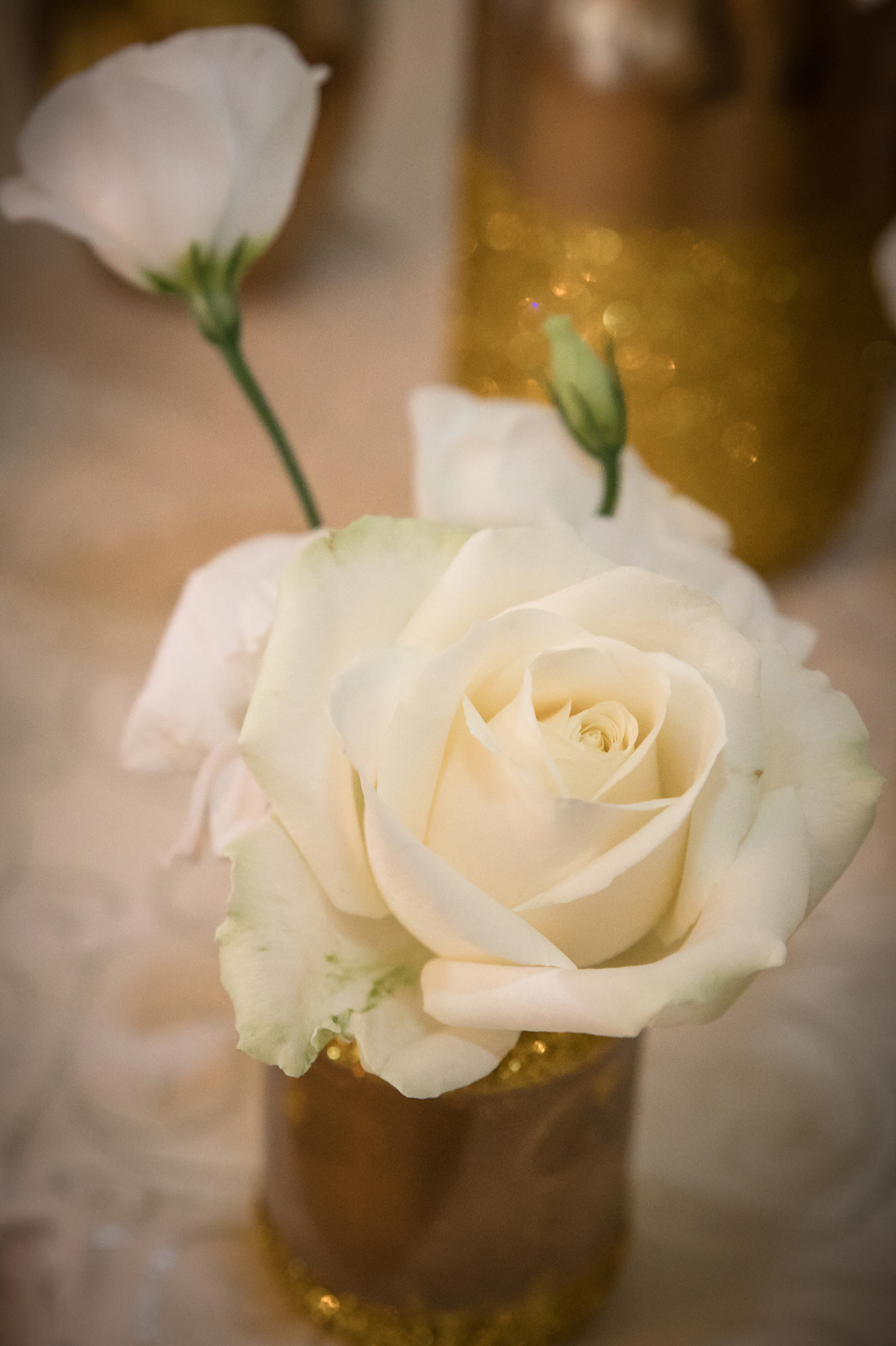 Fotograf nunta Bucuresti0067